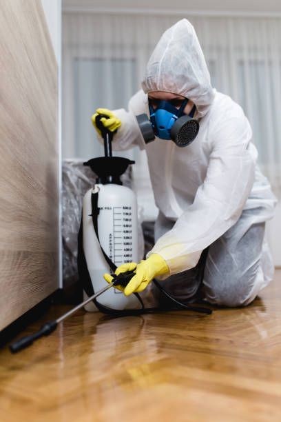 Best Fumigation Services  in Gallipolis, OH